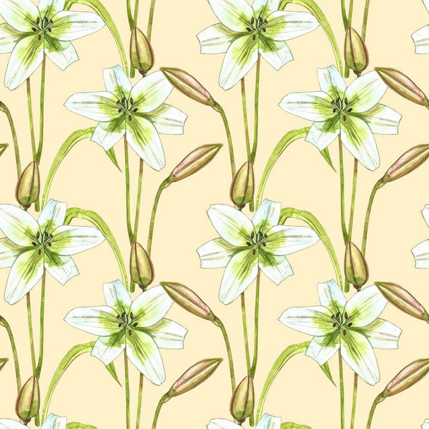 Watercolor white lilies. Seamless patterns. Wild flower set isolated on white. Botanical watercolor illustration, white lilies bouquet, rustic lilies flowers. - Foto, Bild