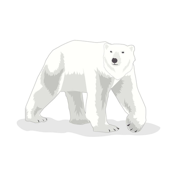 Ilustracja wektora niedźwiedzia polarnego, Międzynarodowy Dzień Niedźwiedzia Polarnego - Wektor, obraz