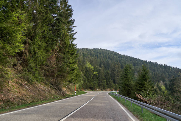 Beautiful asphalt road with turns through the coniferous forest of the Schwarzwald in Germany - Photo, Image
