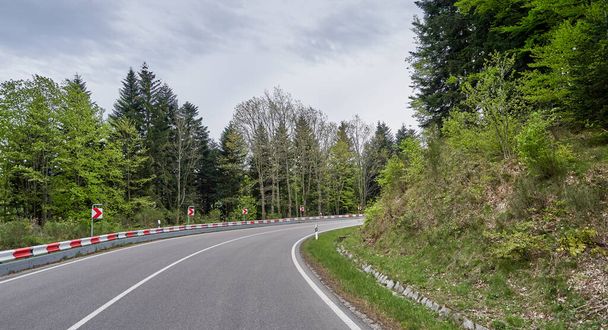 Beautiful asphalt road with turns through the Schwarzwald forest in Germany - Zdjęcie, obraz