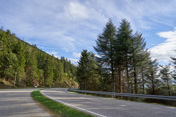 Beautiful spring landscape with road between trees, sunny day and blue sky in German forest Schwarzwald - Fotó, kép
