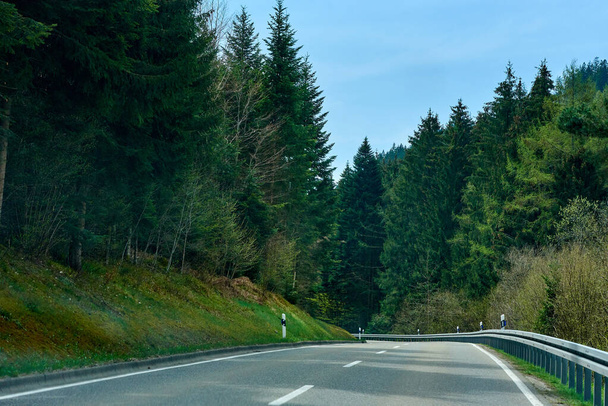 Beautiful spring landscape with road between trees, sunny day and blue sky in German forest Schwarzwald - Photo, image