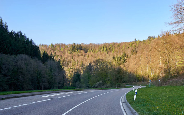 Beautiful spring landscape with road between trees, sunny day and blue sky in German forest Schwarzwald - Foto, Bild
