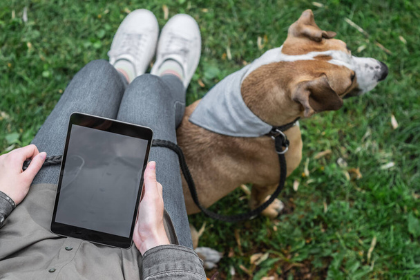 Tablet bilgisayarı olan bir kadın çimenlikte sevimli köpeğiyle oturuyor. İnternette sörf yapan kadın eğitimli köpeğiyle parkta geziyor. - Fotoğraf, Görsel