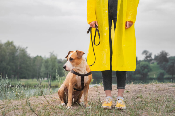Woman in yellow raincoat and shoes walks the dog in rain at urban park near lake. Young female person and pitbull terrier puppy stand in bad weather near river - Foto, Bild