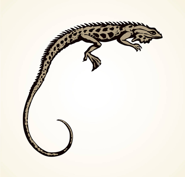 Iguana. Dibujo vectorial
 - Vector, Imagen