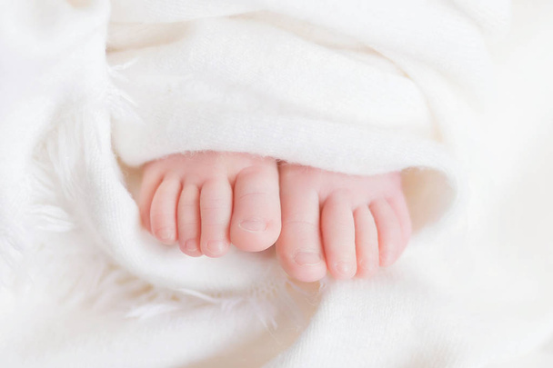 legs of a newborn baby stick out from under a white diaper, from under a white cloth, macro photo of fingers of a newborn on a white background - Valokuva, kuva
