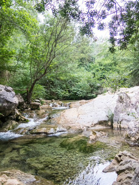 Keel van de Muga rivier. gebied vóór de Pyreneeën in Empora, Catalonië - Foto, afbeelding