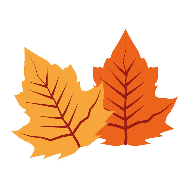 outono folha planta ícone sazonal
 - Vetor, Imagem