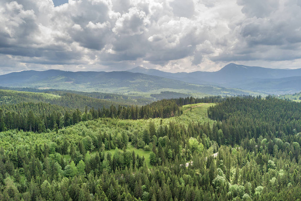 Vue aérienne des montagnes vertes des Carpates couvertes de feuilles persistantes
 - Photo, image