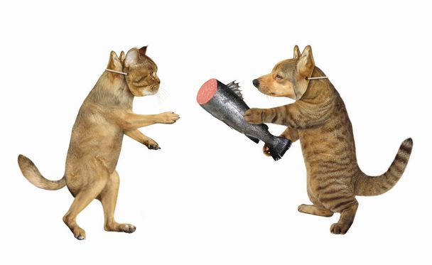 Gato dá salsicha de peixe cão 2
 - Foto, Imagem