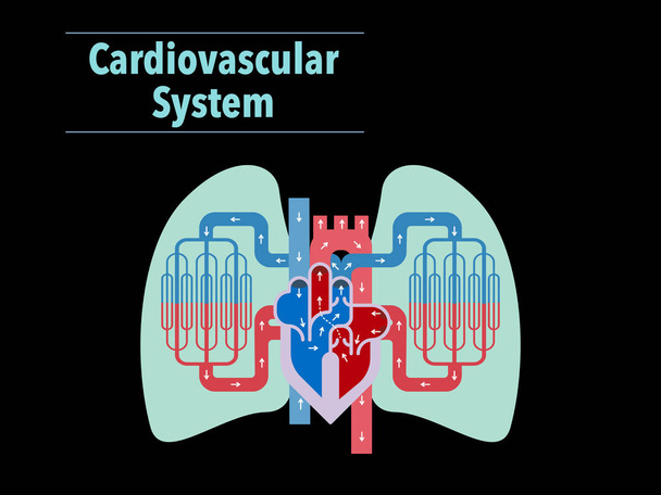 banner καρδιαγγειακού συστήματος, απλά διανυσματική απεικόνιση  - Διάνυσμα, εικόνα