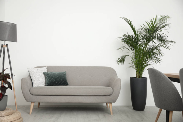 Krásná palma v květináči v moderním obývacím pokoji - Fotografie, Obrázek