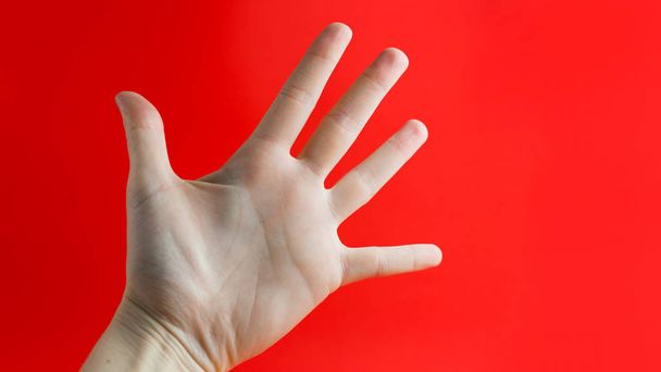 Mano di donna mostrando cinque dita. Concetto di stop su sfondo rosso alla moda
 - Foto, immagini