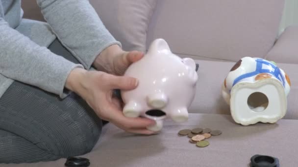 Woman get out coins from piggy bank - Footage, Video