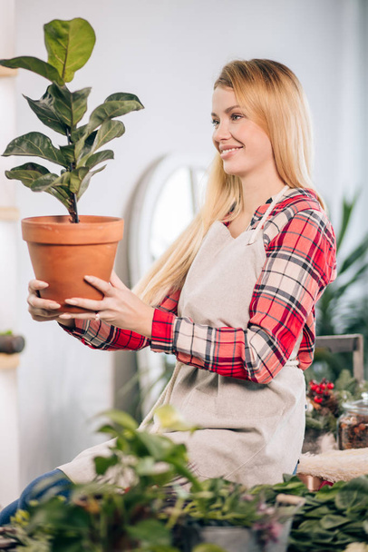 good-looking lady with plants in pot - Фото, изображение