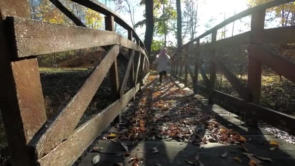 Schattig kind meisje lopen door houten brug bedekt met herfstbladeren - Video
