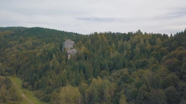 Úchvatný záběr horských kopců v lese. Podzim. Letecký pohled - Záběry, video