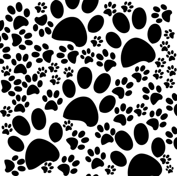 Black and white background with paws - Photo, Image