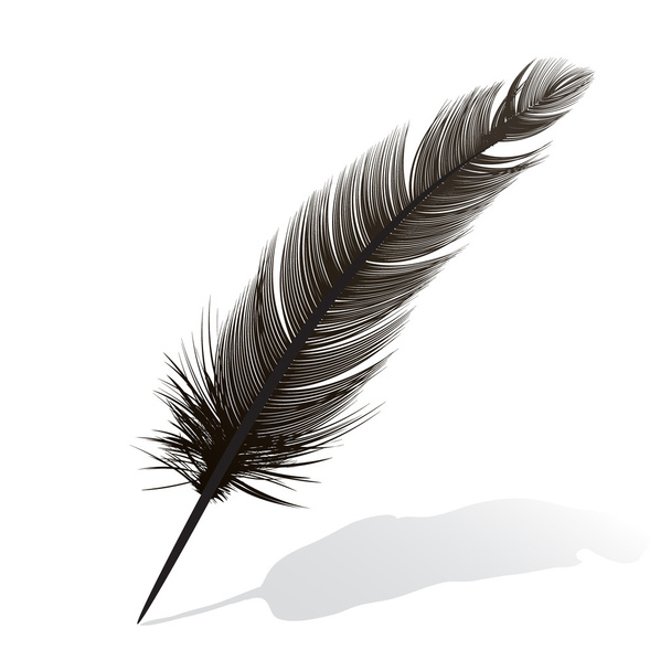 Black feather single Free Stock Photos, Images, and Pictures of