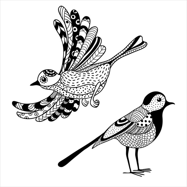 Two birds - Vetor, Imagem