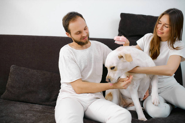 young caucasian couple play wiith pet dog on sofa at home - Foto, afbeelding