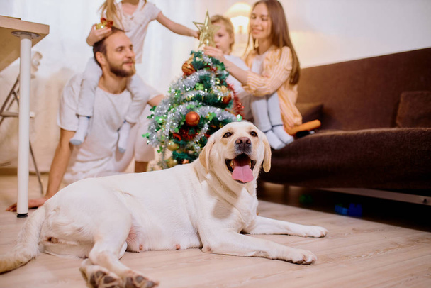 portrait of dog and happy family in the background with christmas tree - Zdjęcie, obraz