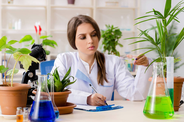 Jeune belle chimiste en biotechnologie travaillant dans le laboratoire - Photo, image