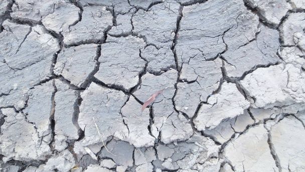 szürke repedés szárított talaj háttér textúra - Fotó, kép