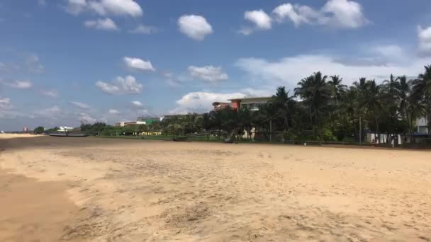 Negombo, Sri Lanka, geniş şehir plajı - Video, Çekim
