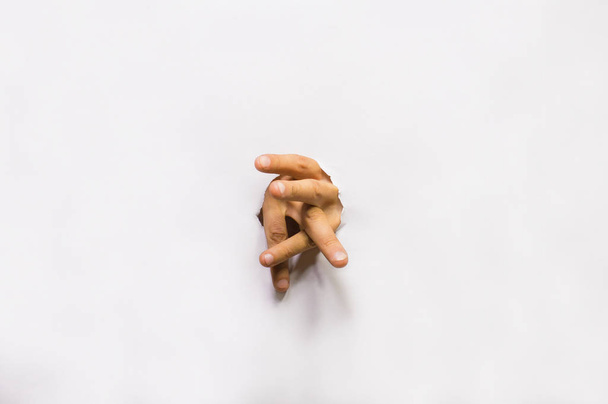 hands merge with a white background - Fotó, kép
