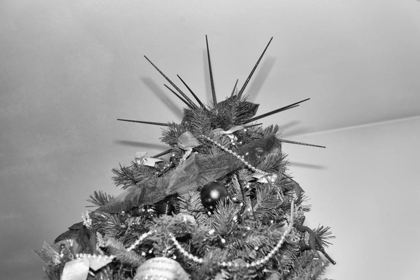 Christmas ornaments - Foto, immagini