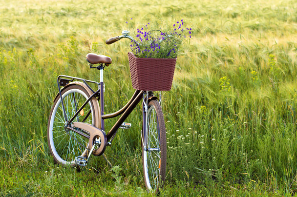 велосипед з квітами в кошику в полі
 - Фото, зображення