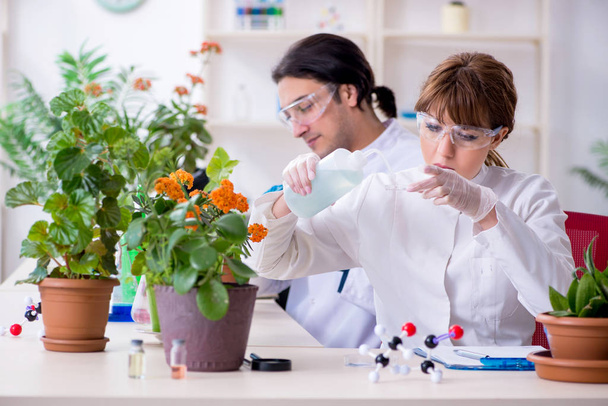 zwei junge Botaniker arbeiten im Labor - Foto, Bild