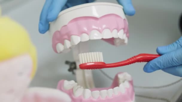 Dentist teaches patient to brush teeth - Footage, Video