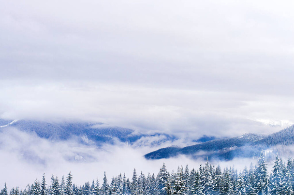 Горы зимой окутаны снегом
. - Фото, изображение