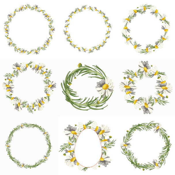 Beautiful wreaths with field daisies, buds and leaves on a white background. Pharmacy medicinal chamomile. Realistic style. Spring pattern. Easter template for greeting card with flowers and egg. - Fotó, kép