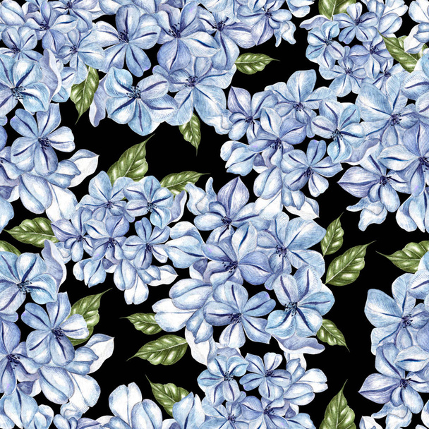 Aquarel naadloze patroon met bloemen van Plumbago. - Foto, afbeelding