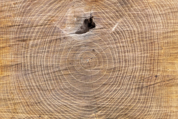 Vecchio tessuto di legno intemperie
 - Foto, immagini