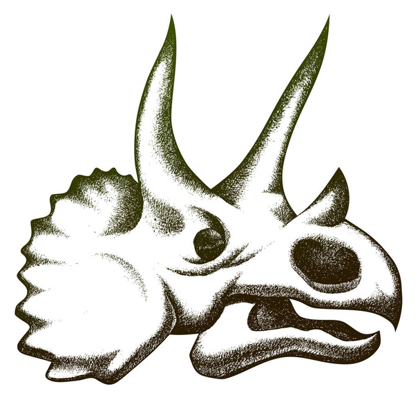 Triceratops koponya rajz. Ceruza vázlat illusztráció - Vektor, kép