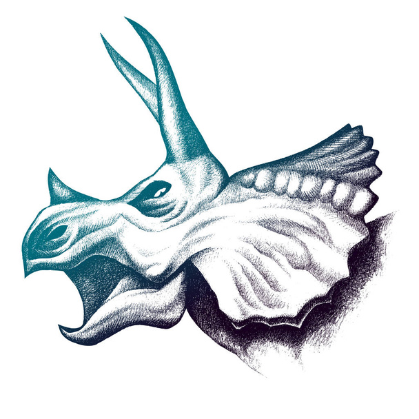 Triceratops roaring head drawing. Pencil sketch illustration. - Vector, Image