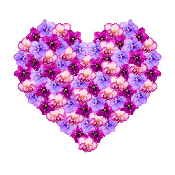 Heart symbol of love from saintpaulia flowers isolated on white background - Foto, imagen