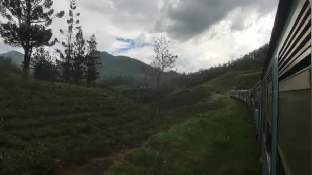 Ella, Sri Lanka, end of train view - Video, Çekim