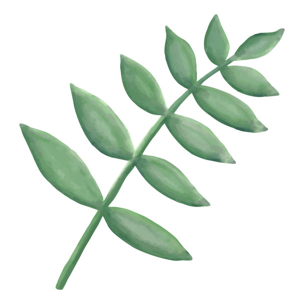 Watercolor plant clip art, vector - Vetor, Imagem