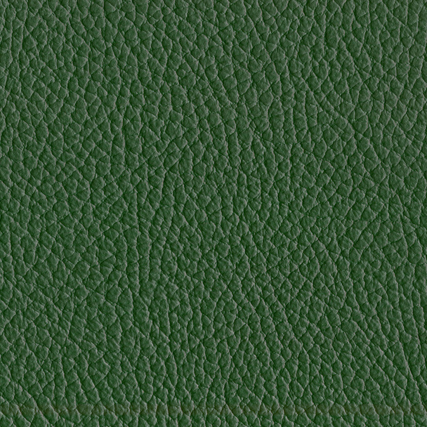 green leather - Photo, Image