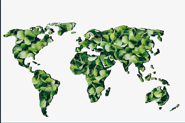 Zhruba nastínil mapa světa s zelenými rostlinami plnění - Fotografie, Obrázek