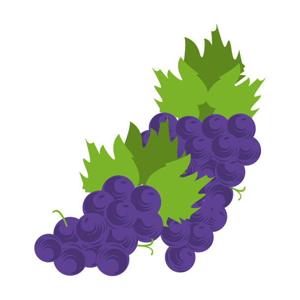 csomó szőlő ikon lapos kialakítás - Vektor, kép