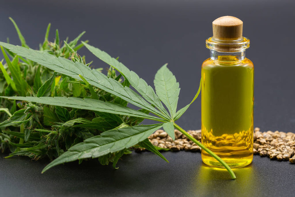  Aceite de cáñamo cbd, hierba de cannabis y hojas para el tratamiento, Extracto f
 - Foto, imagen