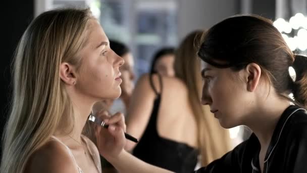 Artist and client in a process of doing makeup in beauty salon - Materiał filmowy, wideo