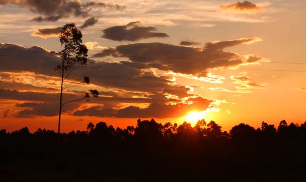 コロンビアの熱帯の真ん中に沈む夕日。シエラネバダ山脈 - 写真・画像